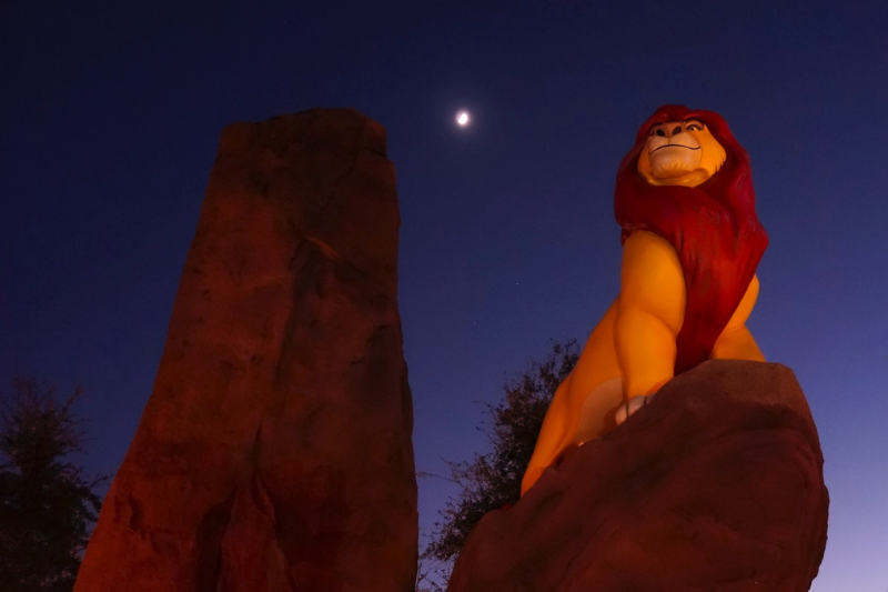 Lion King